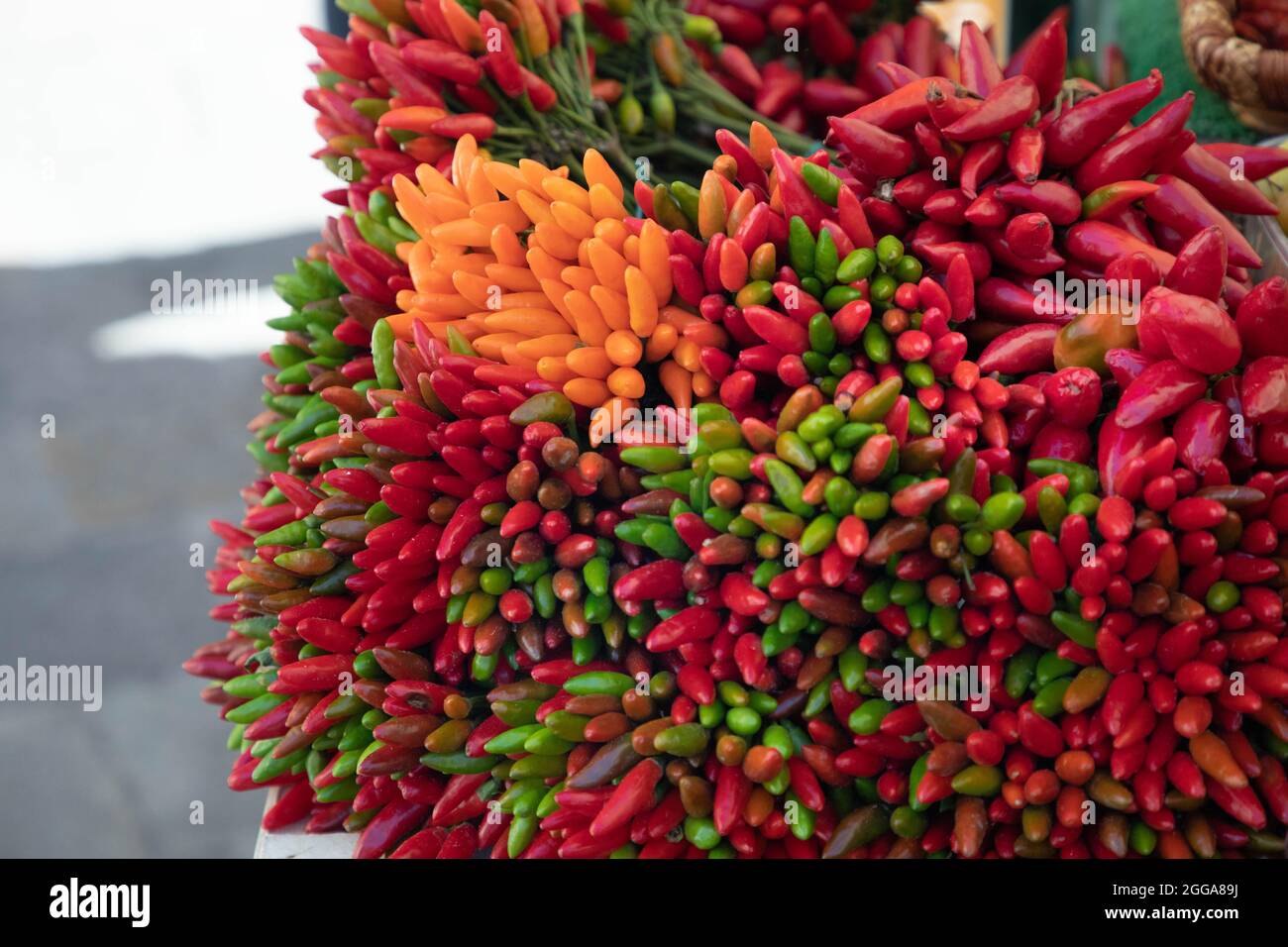 Peperoncino piccante di vari colori- intarienti e spezie naturali biologiche Stockfoto