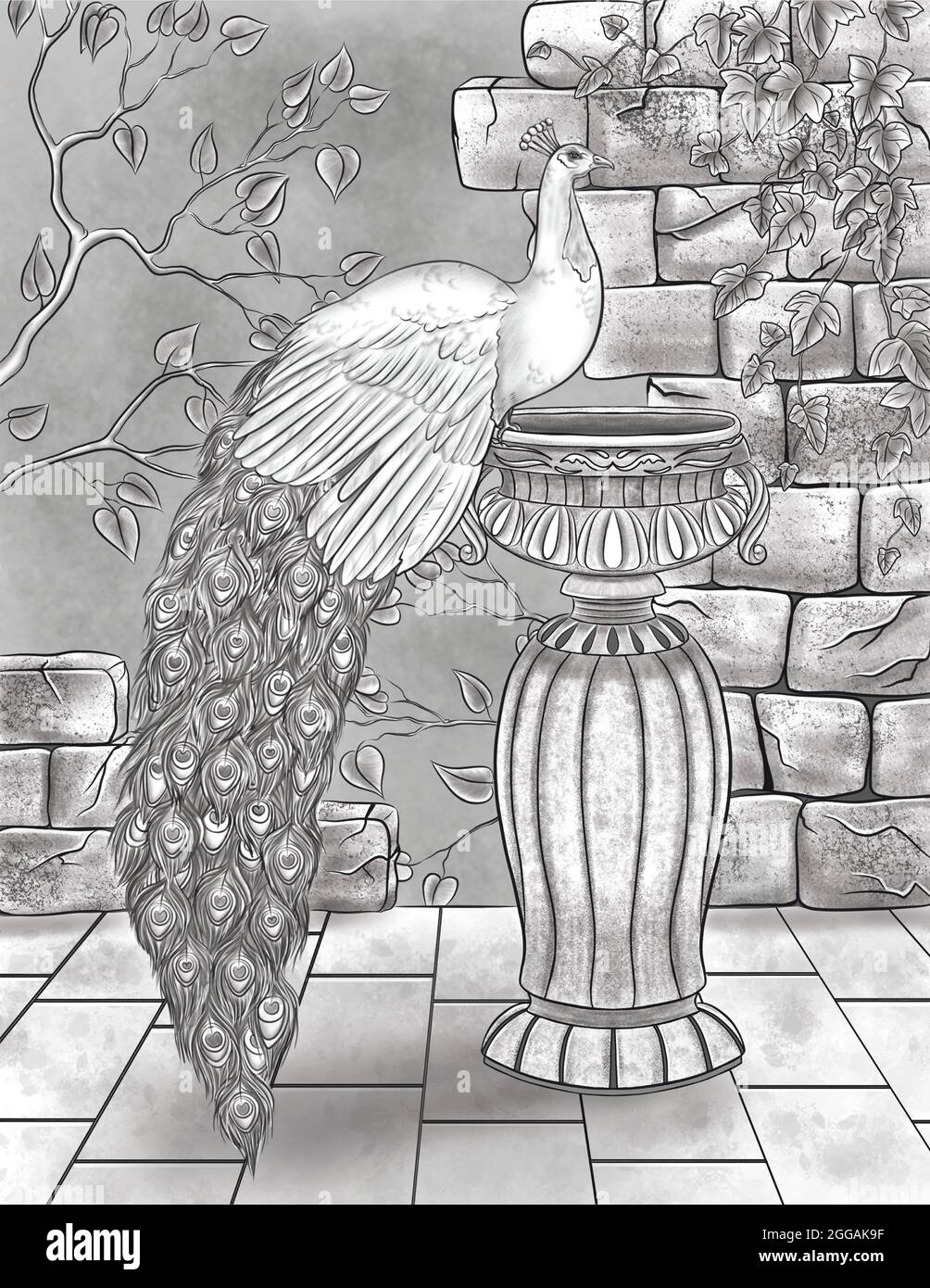 Schöner Pfau, der auf EINEM Wasserbecken mit gebrochenen Wänden und farblosem Liniendiagramm der Reben ruht. Hübsches Peafowl auf EINER Vase Malbuch Seite stehen. Stockfoto