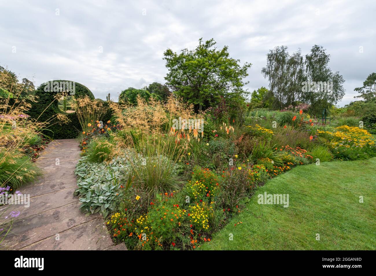 Im Sommer umrandete Gartenblumen Stockfoto