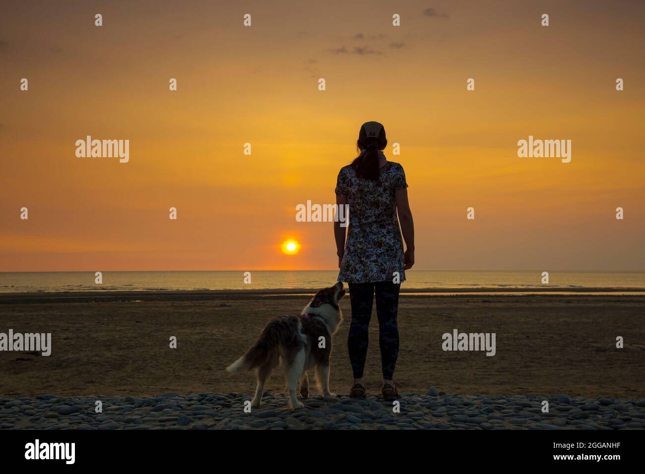 Rückansicht einer isolierten jungen Frau und eines Hundes mit Blick auf das Meer bei Sonnenuntergang an einem britischen Strand, Aufenthalt im Sommerurlaub. Beste Freunde zusammen. Stockfoto
