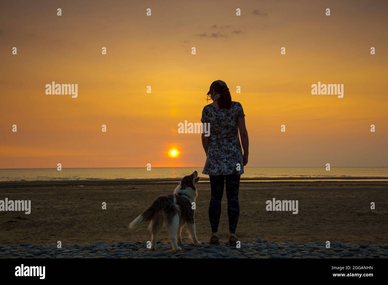 Rückansicht einer isolierten jungen Frau und eines Haustierhundes mit Blick auf das Meer bei Sonnenuntergang an einem britischen Strand, Aufenthalt im Sommerurlaub. Beste Freunde zusammen. Stockfoto