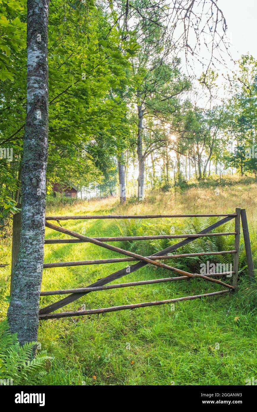 Holztor zu einer Wiese im Wald Stockfoto