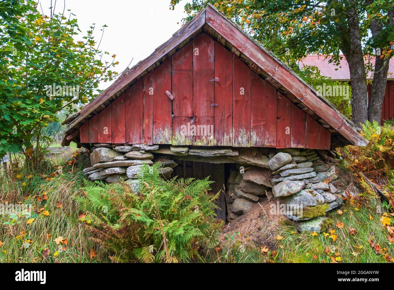 Idyllischer alter Wurzelkeller auf dem Land Stockfoto