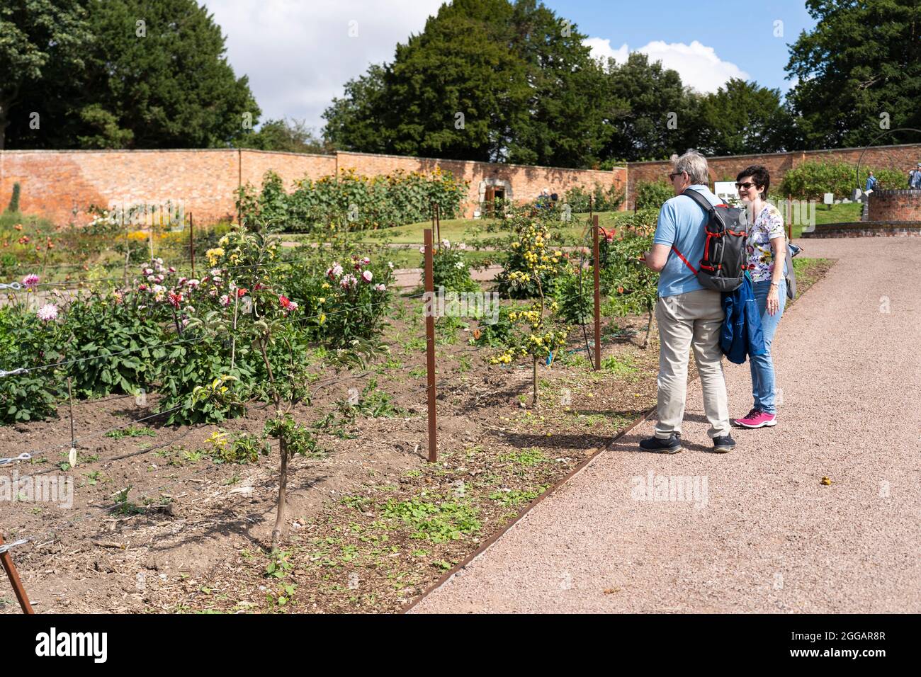 Besucher, die Pflanzen und Blumen in den renovierten historischen georgianischen Stadtgärten von Croome Court, Worcestershire, Großbritannien, betrachten Stockfoto