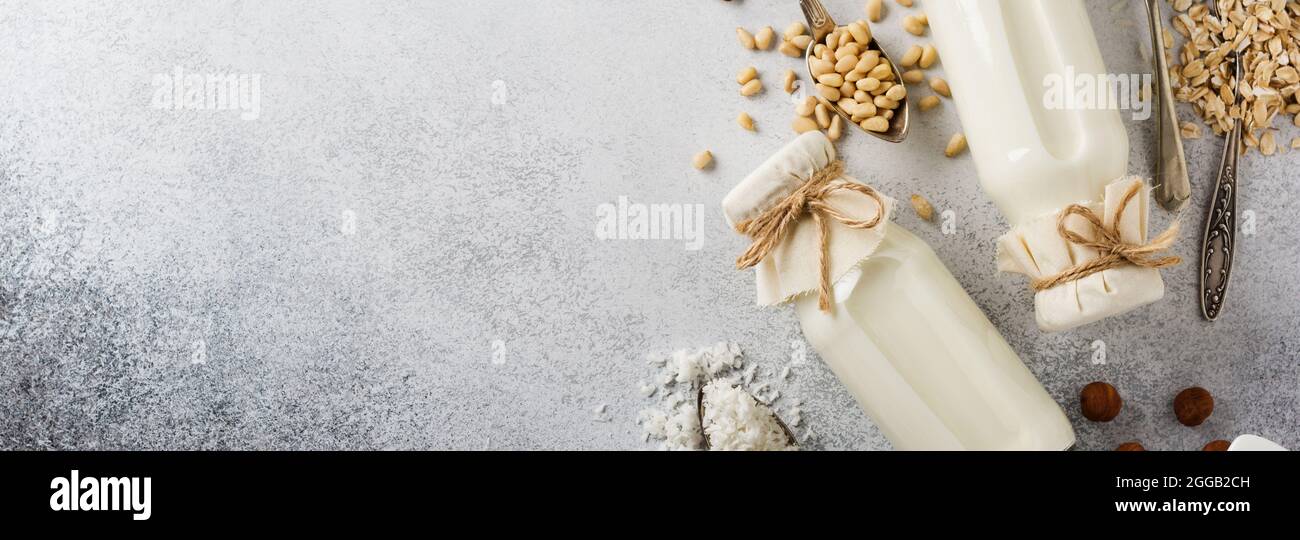 Hausgemachte Ernährung pflanzliche Milch und Mandeln, lockig, Haselnüsse, Haferflocken, Reis und Kokosnuss auf grauem Hintergrund. Gesunde Ernährung Konzept. Draufsicht. Stockfoto