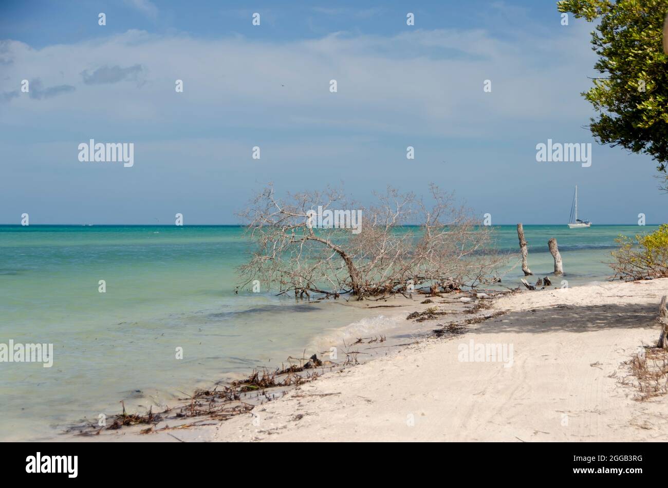 Ein einsamer tropischer Strand aus weißem Sand in der mexikanischen Karibik mit einem Segelboot im Hintergrund des blauen Himmels Stockfoto