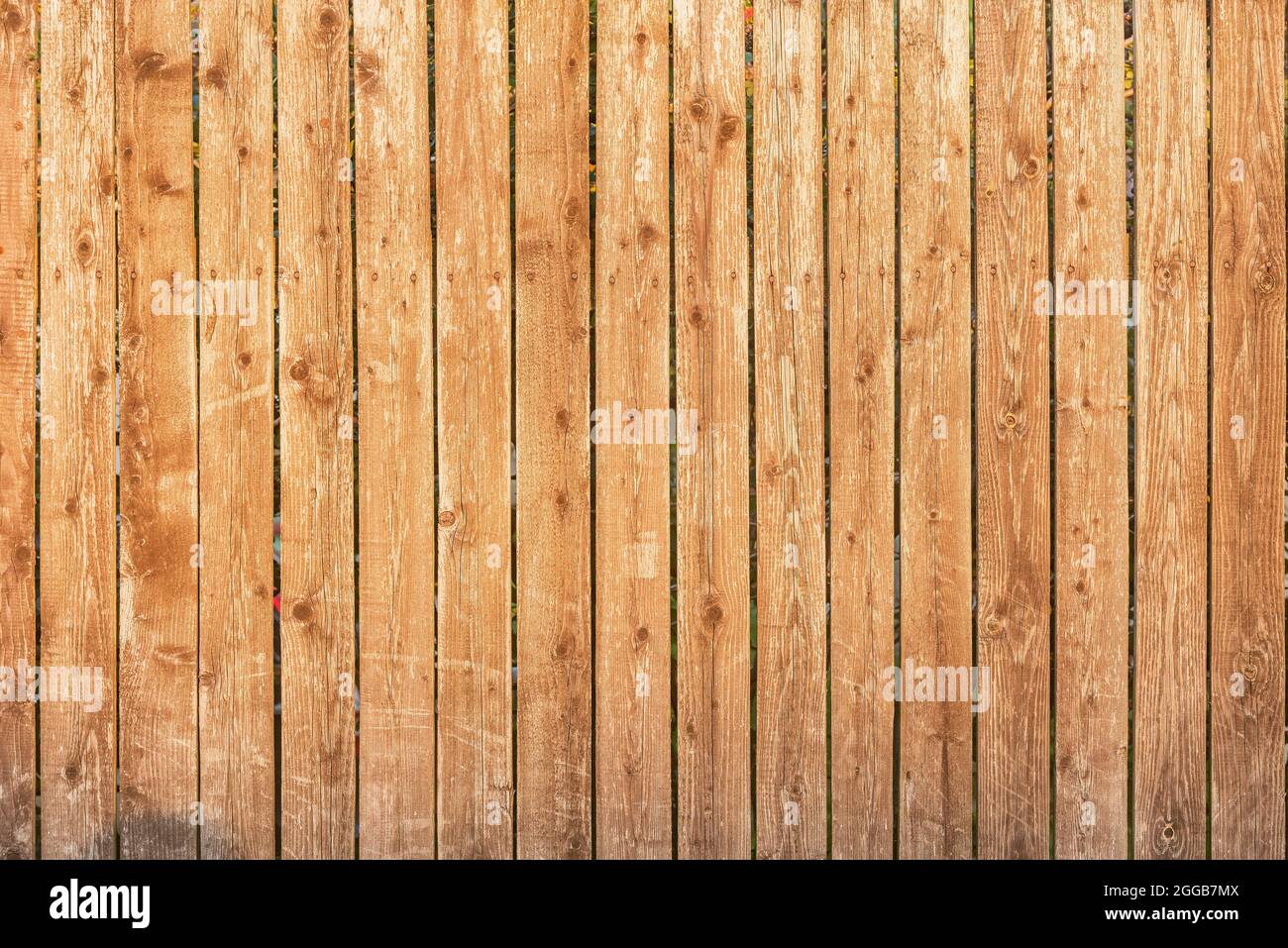 Nahaufnahme des neuen Holztexturhintergrunds. Stockfoto