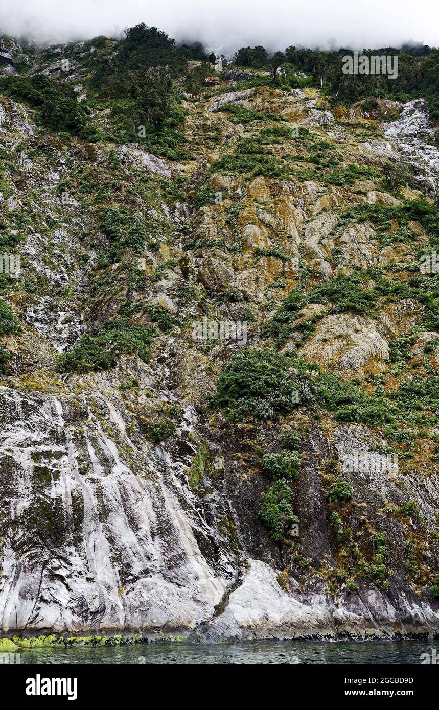 Wasserfall, fließendes Wasser, Kaskadierung, Felswand, Natur, Nebel oben, grüne Vegetation, Milford Sound, Fiordland National Park, Te Anau, Neuseeland Stockfoto