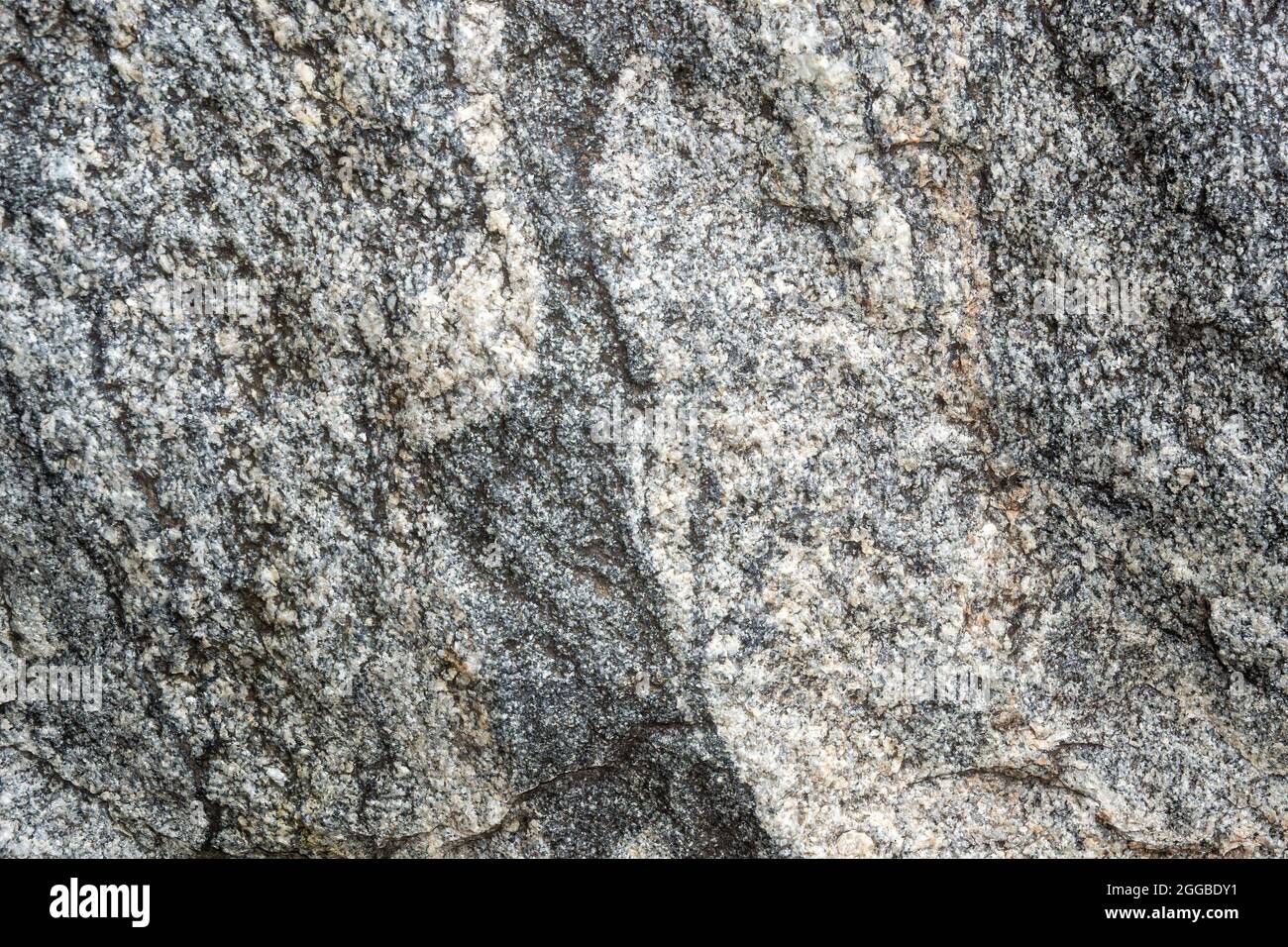 Unbehandelte natürliche Textur aus grauem Granit in Nahaufnahme. Abstrakter Hintergrund, Textur, Muster, Tapete. Stockfoto