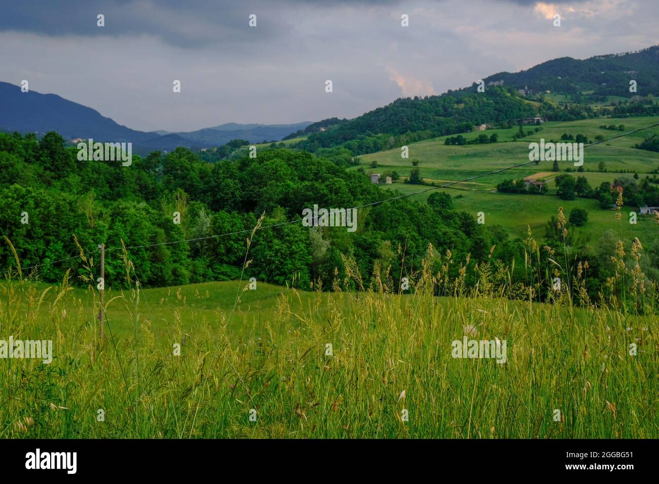 Landschaft mit Gras und Bergen. Wilde Pflanzen über den Bergen, ländliche Aussicht, dramatischer Himmel. Ländlicher Hintergrund Stockfoto