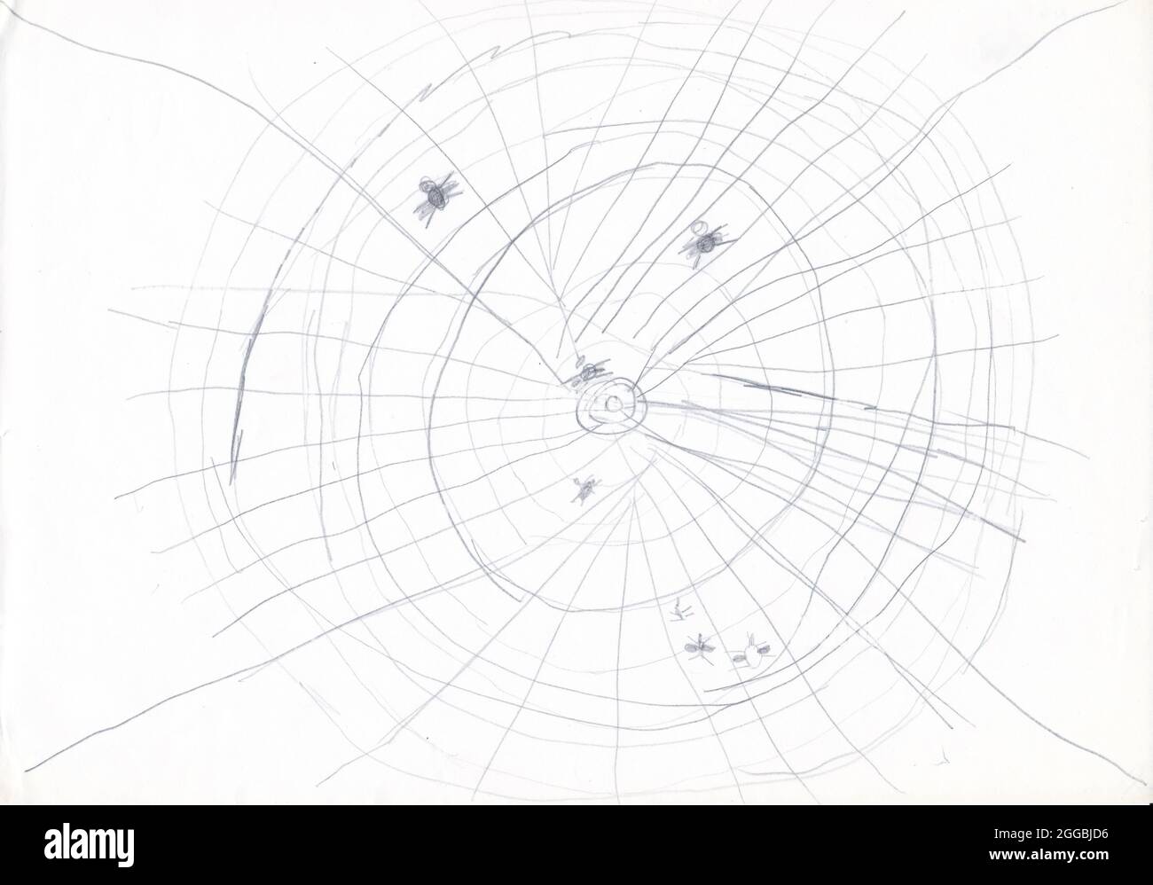 Spider Web Kinder Zeichnung Illustration Stockfoto