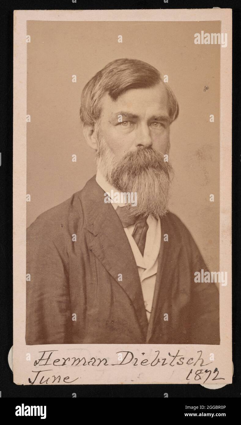 Porträt von Herman Henry Diebitsch (1818-1883), 1871. Stockfoto