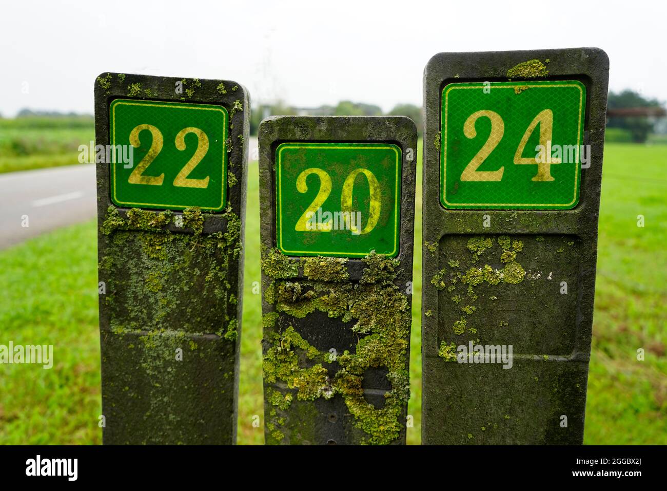 Drei grüne Nummernschilde an der Straße. Die Betonpfosten sind mit Flechten bedeckt. Stockfoto