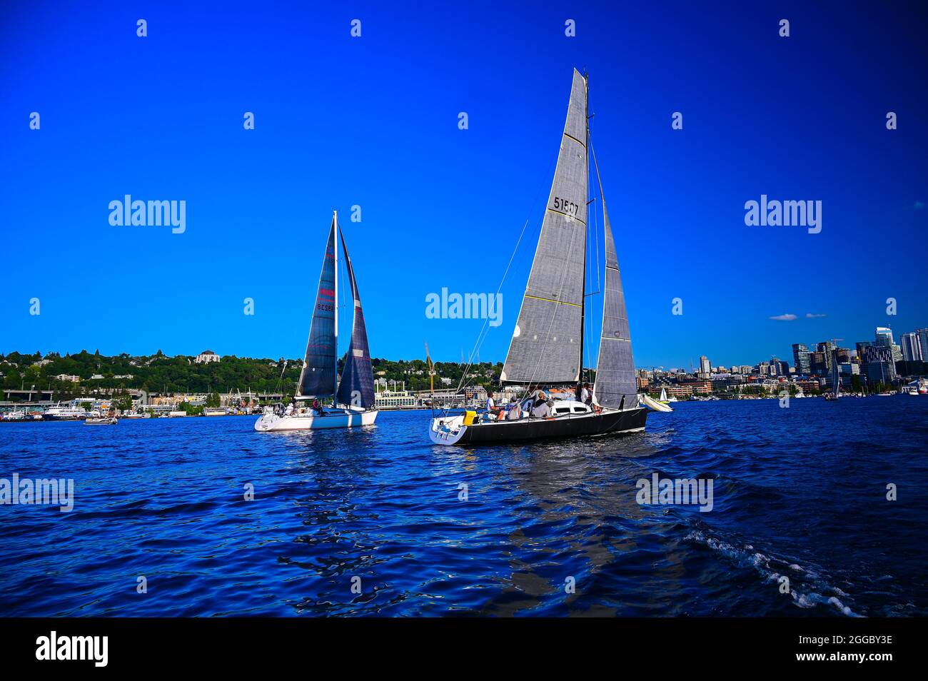 Segelboote auf dem Lake Union in Seattle, Washington Stockfoto