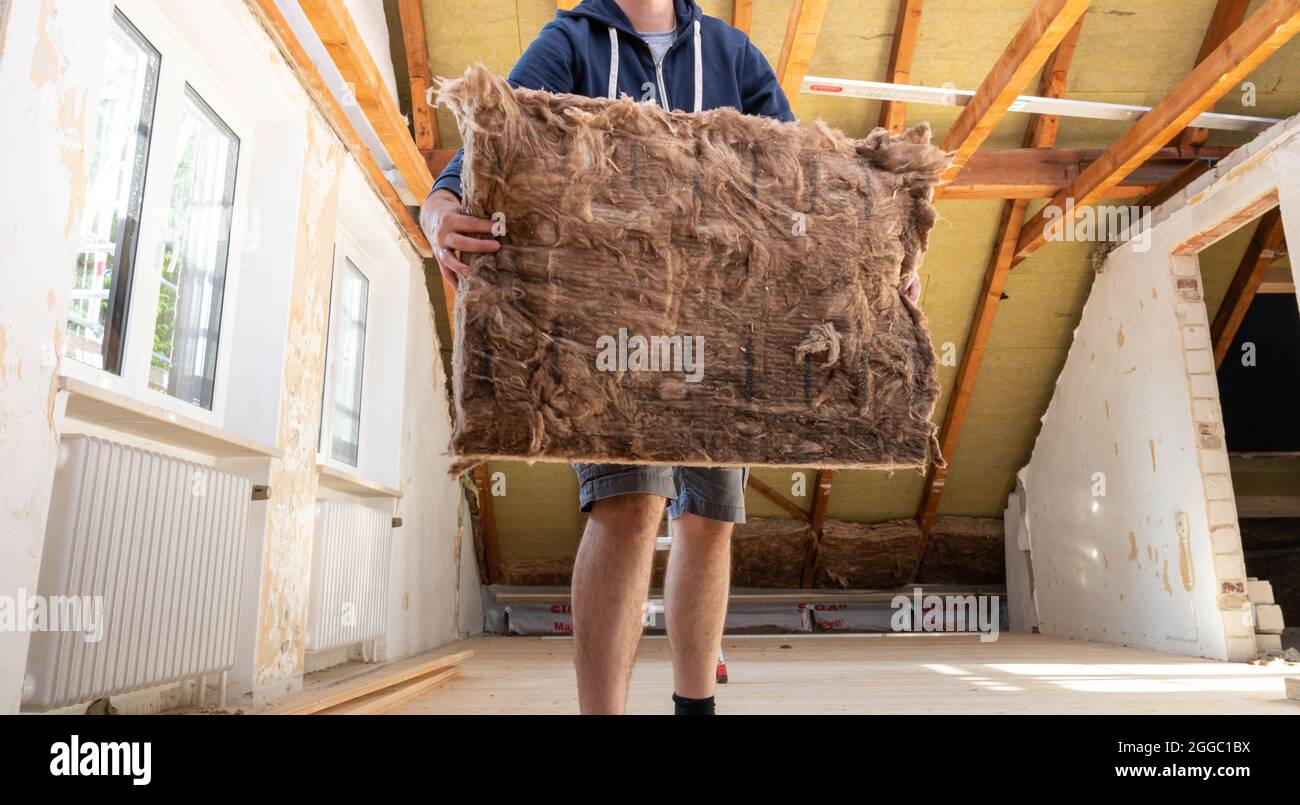 Handwerker, der Dämmmaterial auf den Dachboden legt. Stockfoto