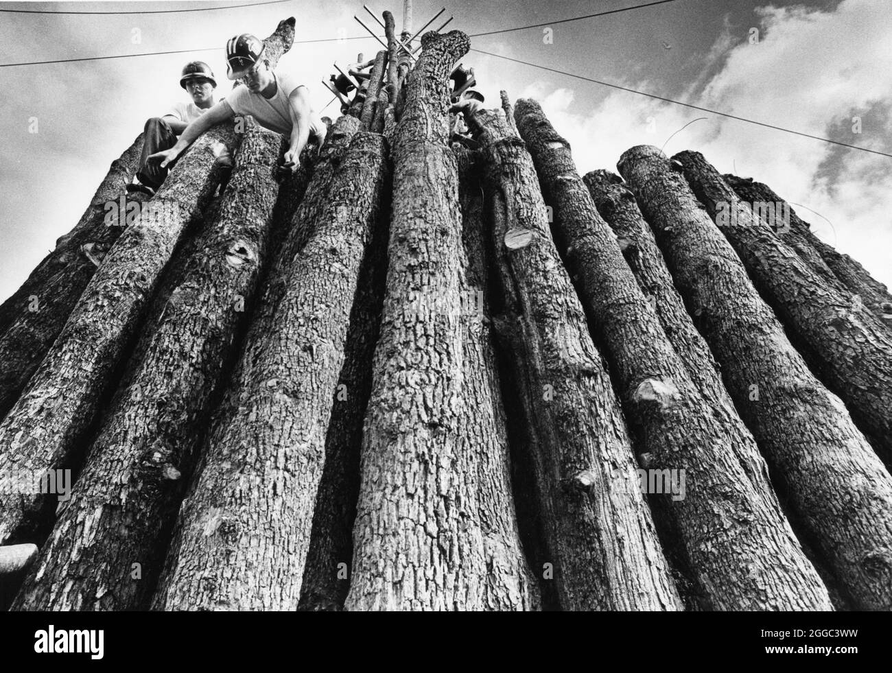 College Station Texas USA, 1978: Texas A&M Studenten arbeiten am Bau des Texas A&M Aggie Bonfire Holzstapels vor dem jährlichen Texas vs. Texas A&M Football Spiel im späten Herbst. ©Bob Daemmrich Stockfoto