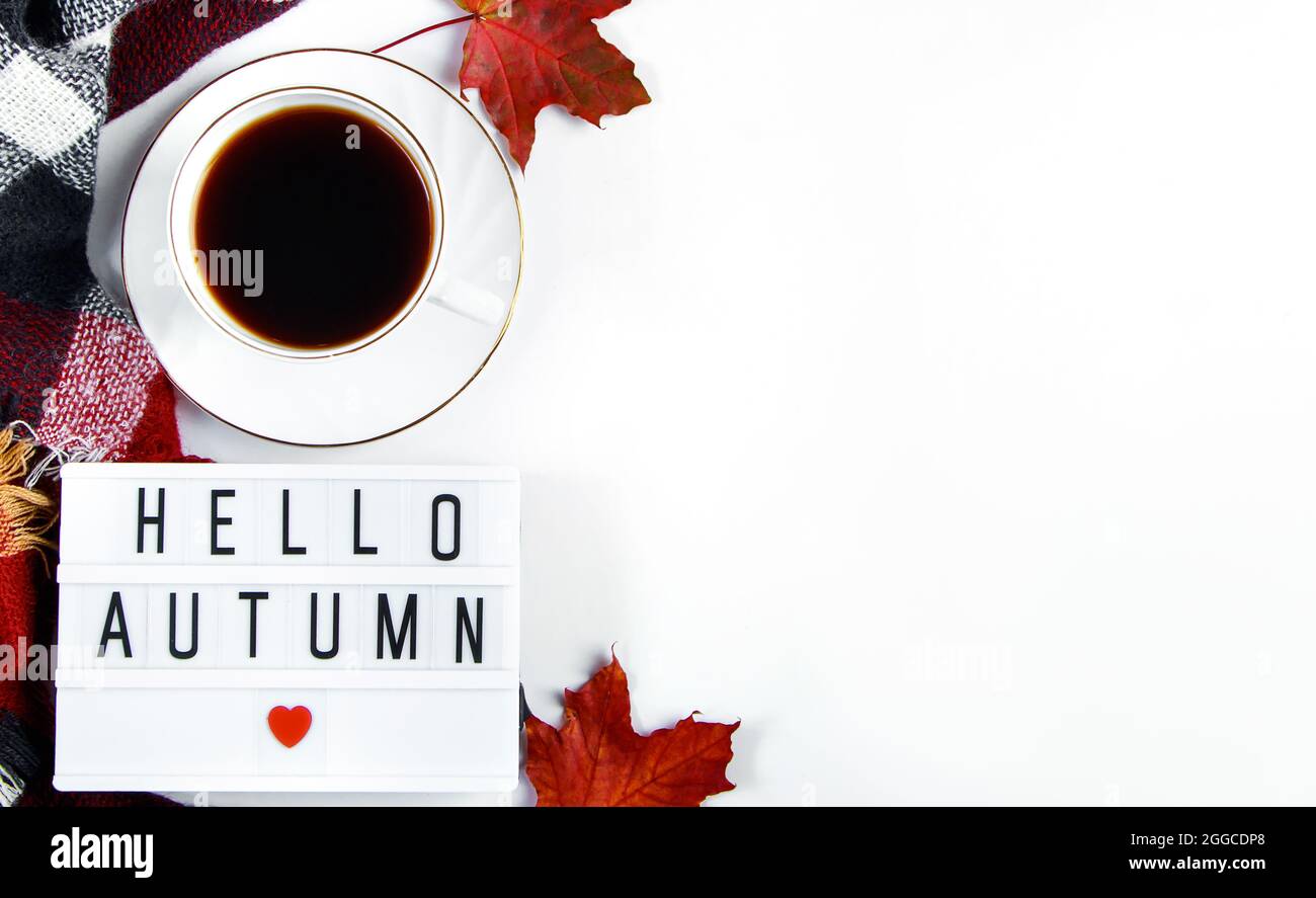 Hallo Herbstkonzept. Tasse heißen Espressokaffee und rote Blätter auf weißem Hintergrund. Warmes karierten und trinken für kaltes Wetter. Speicherplatz kopieren. Banne Stockfoto