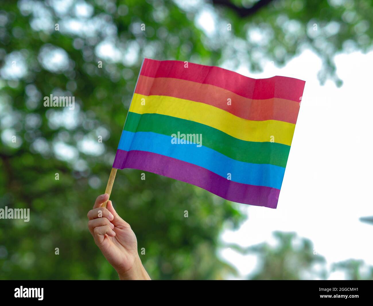 Eine Hand hält eine kleine Regenbogenfahne zur Unterstützung der LGBTQ-Bewegung, im Hintergrund grüne Bäume. Stockfoto