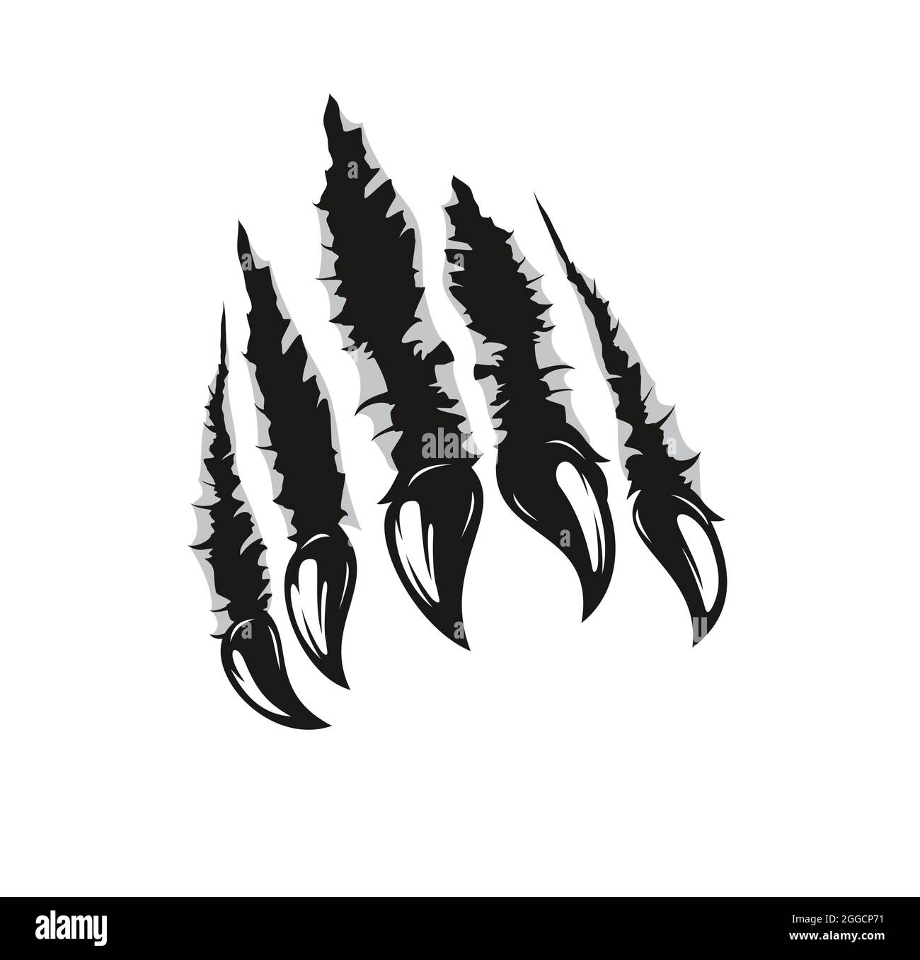 Grizzly tragen Klauen Spuren und Kratzer, Vektor wilden Tier Risse gerissen. Monster Tier oder Grizzly Bear Pfoten Spuren von Krallen mit scharfen Spalten, beschädigt b Stock Vektor