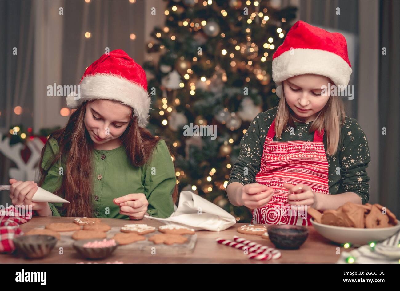 Glückliche Freundinnen zeigen dekorierten Lebkuchen zu Hause Stockfoto