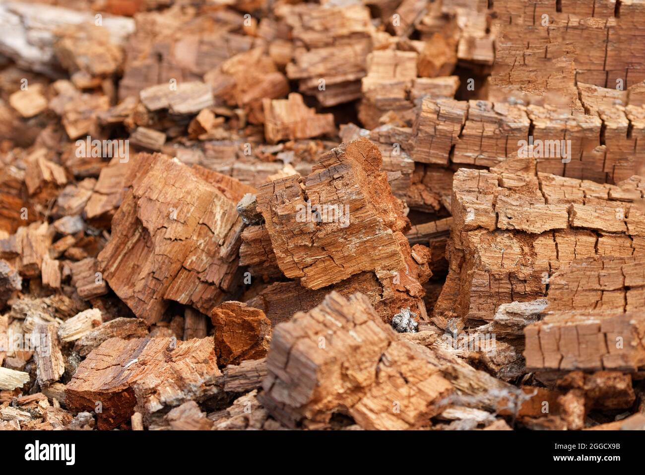 Braunes Rotted Wood Log für den Einsatz im Hintergrund Stockfoto