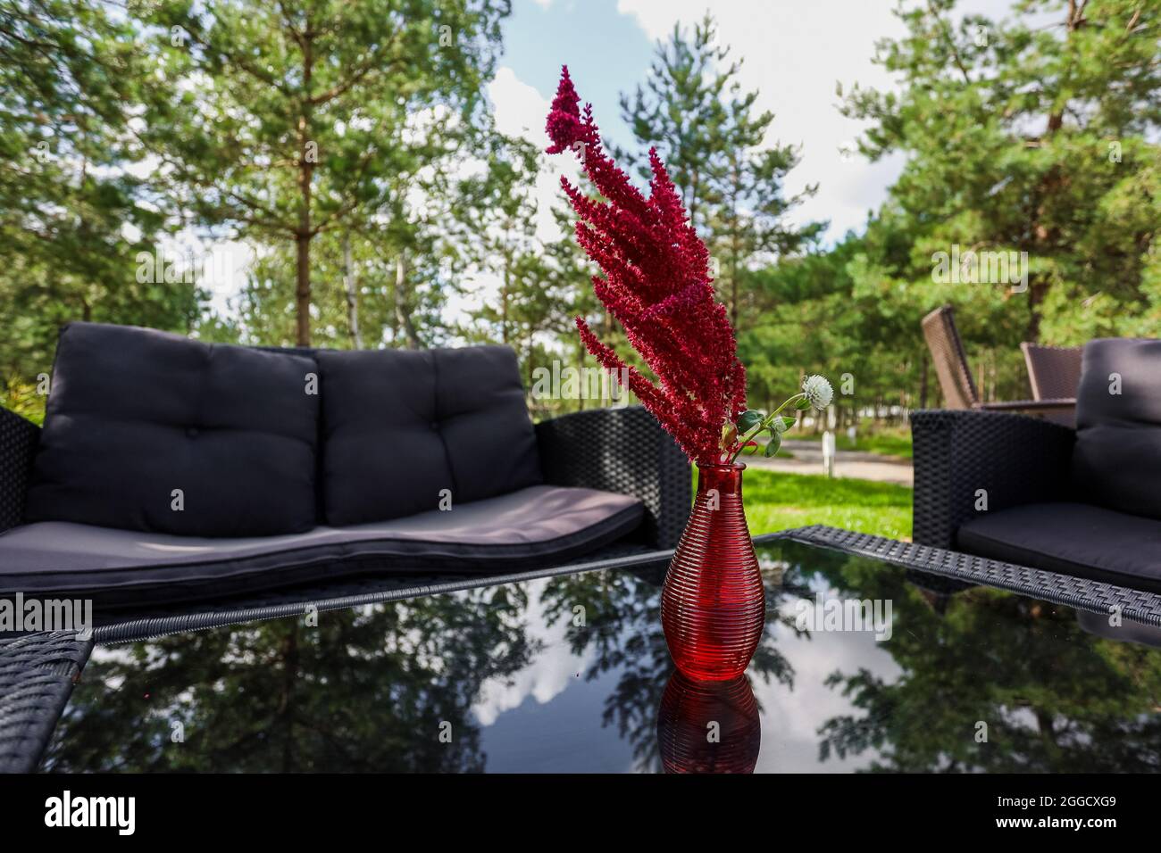 Sitzecke, Sofa, Couchtisch, rote Vase mit einer Blume. Hochwertige Fotos Stockfoto