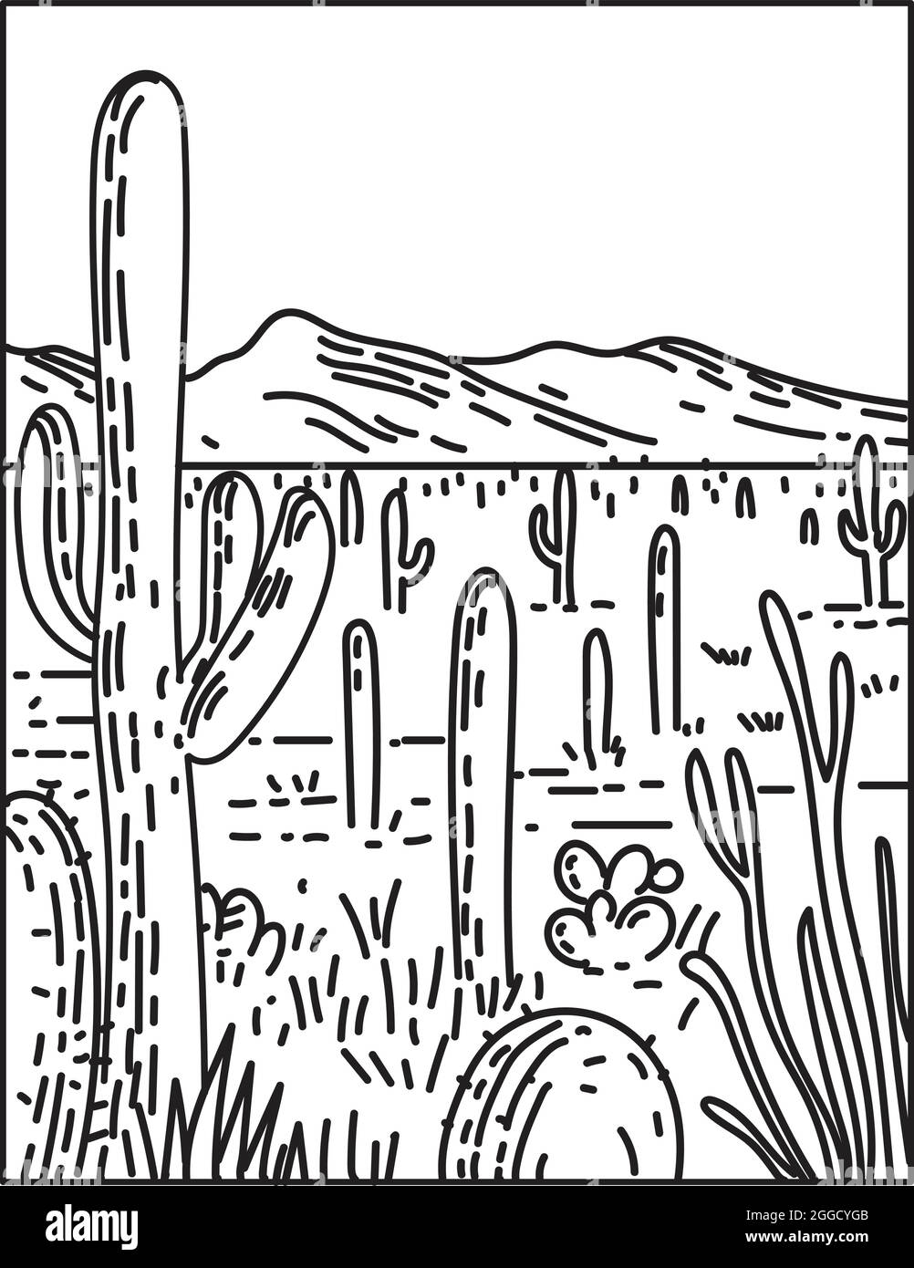 Monolinie Illustration des Saguaro National Park in Pima County, Southeastern Arizona, USA in Retro schwarz-weiß Monoline Linie Art style Poster. Stock Vektor