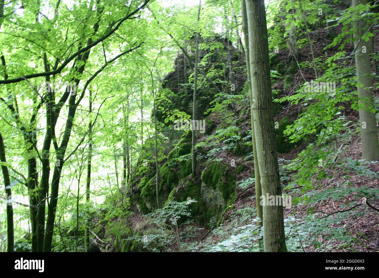 wandern in der Fränkischen Schweiz schöner Wanderweg in Tüchersfeld Stockfoto