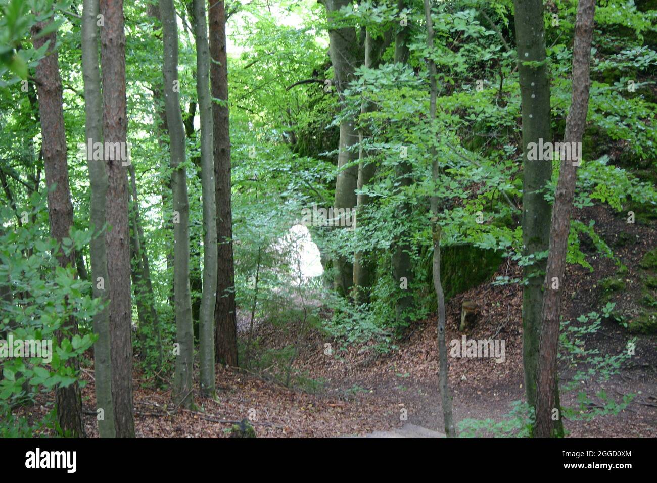 wandern in der Fränkischen Schweiz Wanderweg in Tüchersfeld Stockfoto