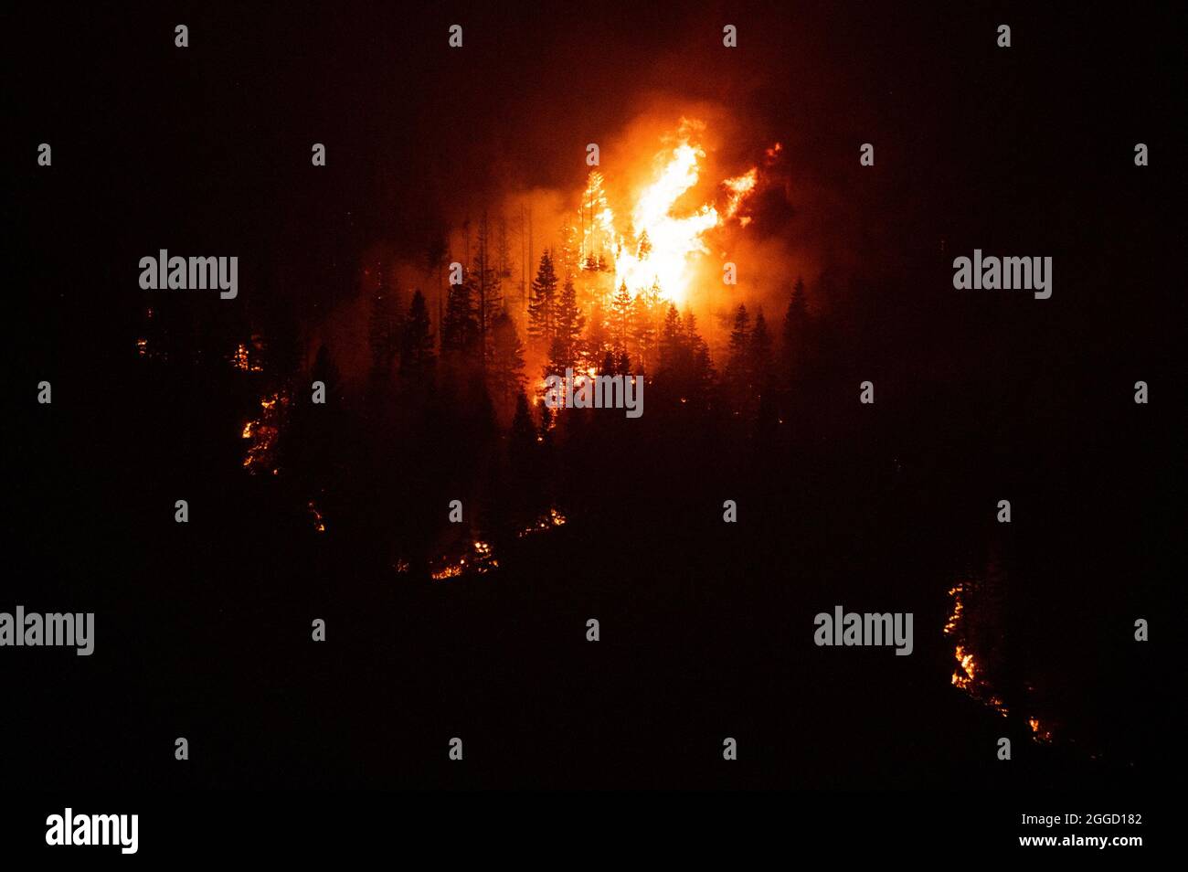 30. August 2021, Stateline, NV, USA: Während des Caldor-Feuers am Montag, den 30. August 2021 in El Dorado County, zieht das Feuer nach Norden in Richtung Christmas Valley entlang des Highway 89. (Bild: © Paul Kitagaki Jr./ZUMA Press Wire) Stockfoto