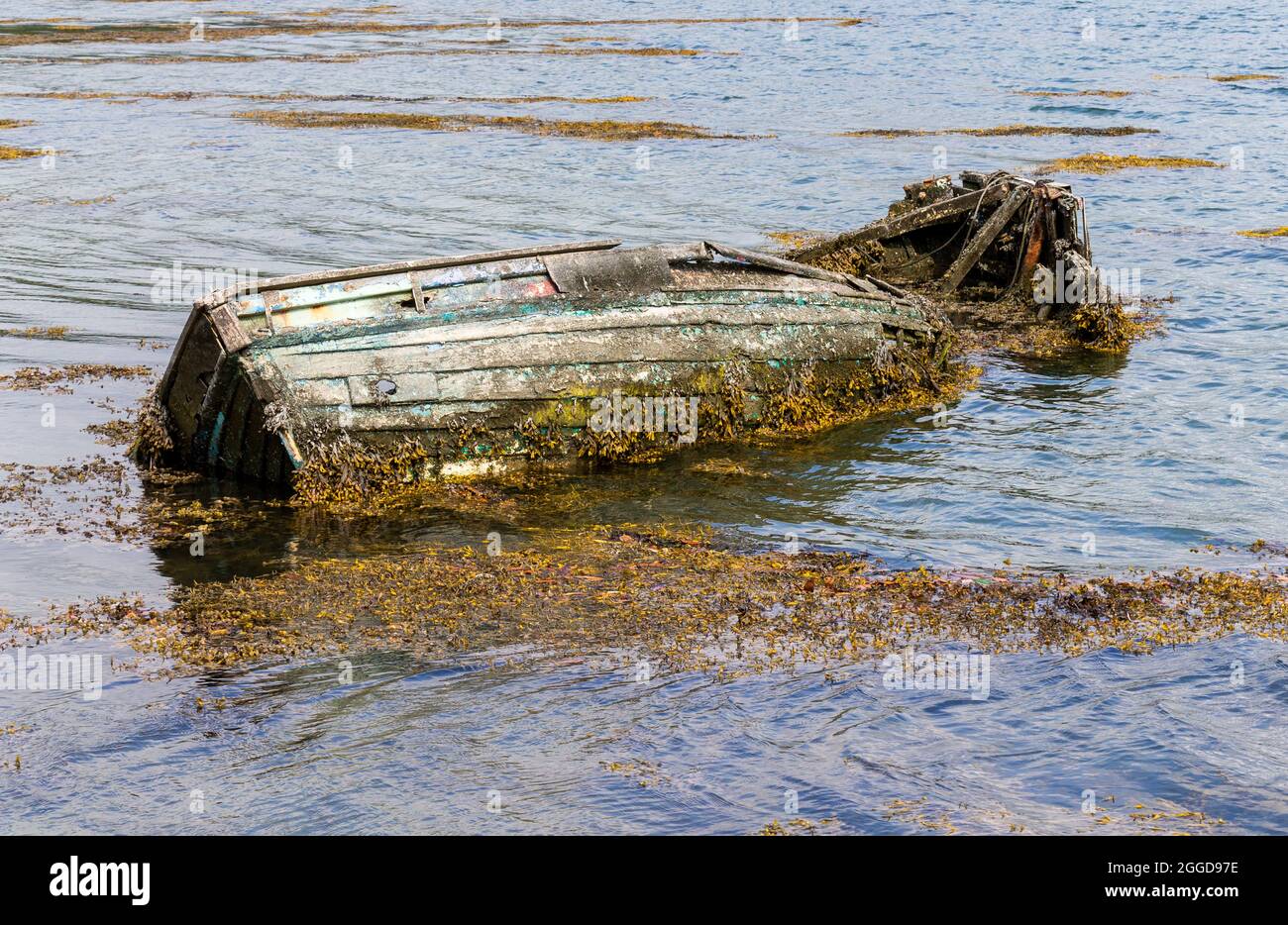 Verwelktes Schiffbrüchboot aus Holz, das mit Algen bedeckt war Stockfoto