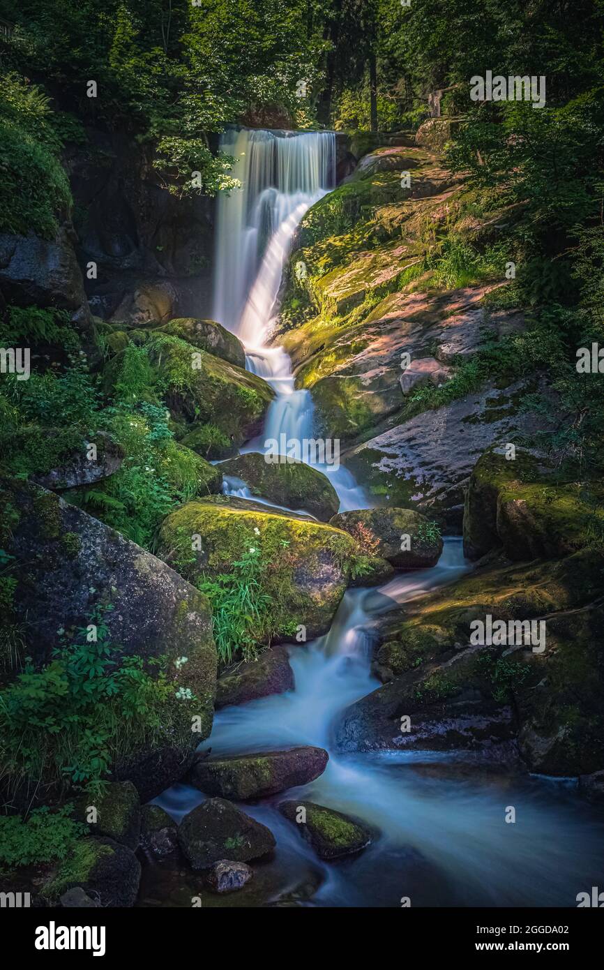 Die Tribergwasserfälle sind Wasserfälle bei Triberg im Schwarzwald in Baden-Württemberg (Deutschland). Mit einer Abfahrt von 163 m ist er einer der höchsten Stockfoto