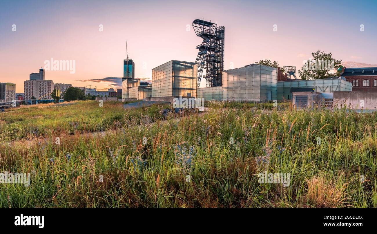 Abendpanorama der Stadt Katowice, Sonnenuntergang von den Räumlichkeiten des Schlesischen Museums gesehen, im Vordergrund eine Blumenwiese und Gebäude der Stockfoto