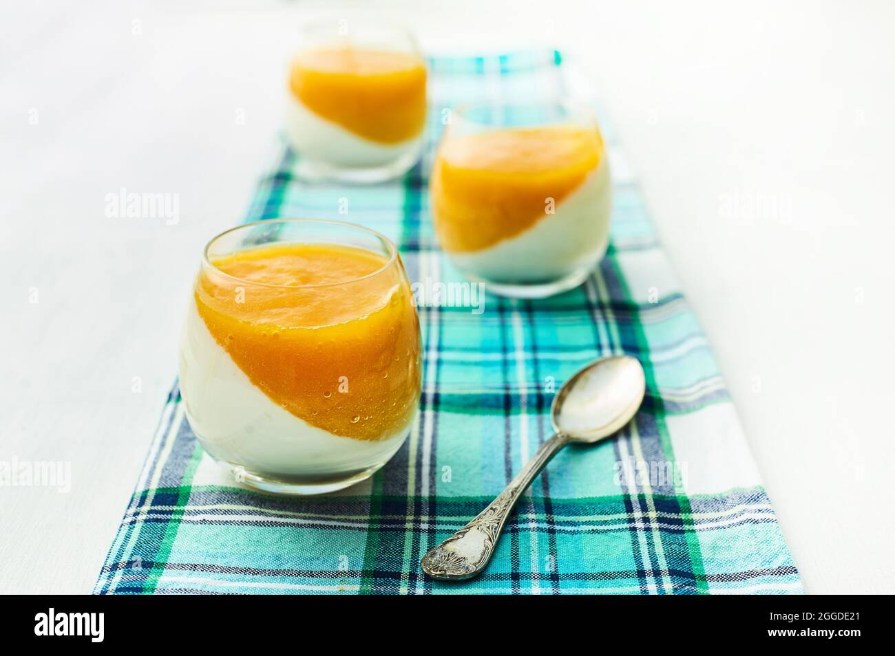 Mangos panna cotta, Italien, Europa Stockfoto