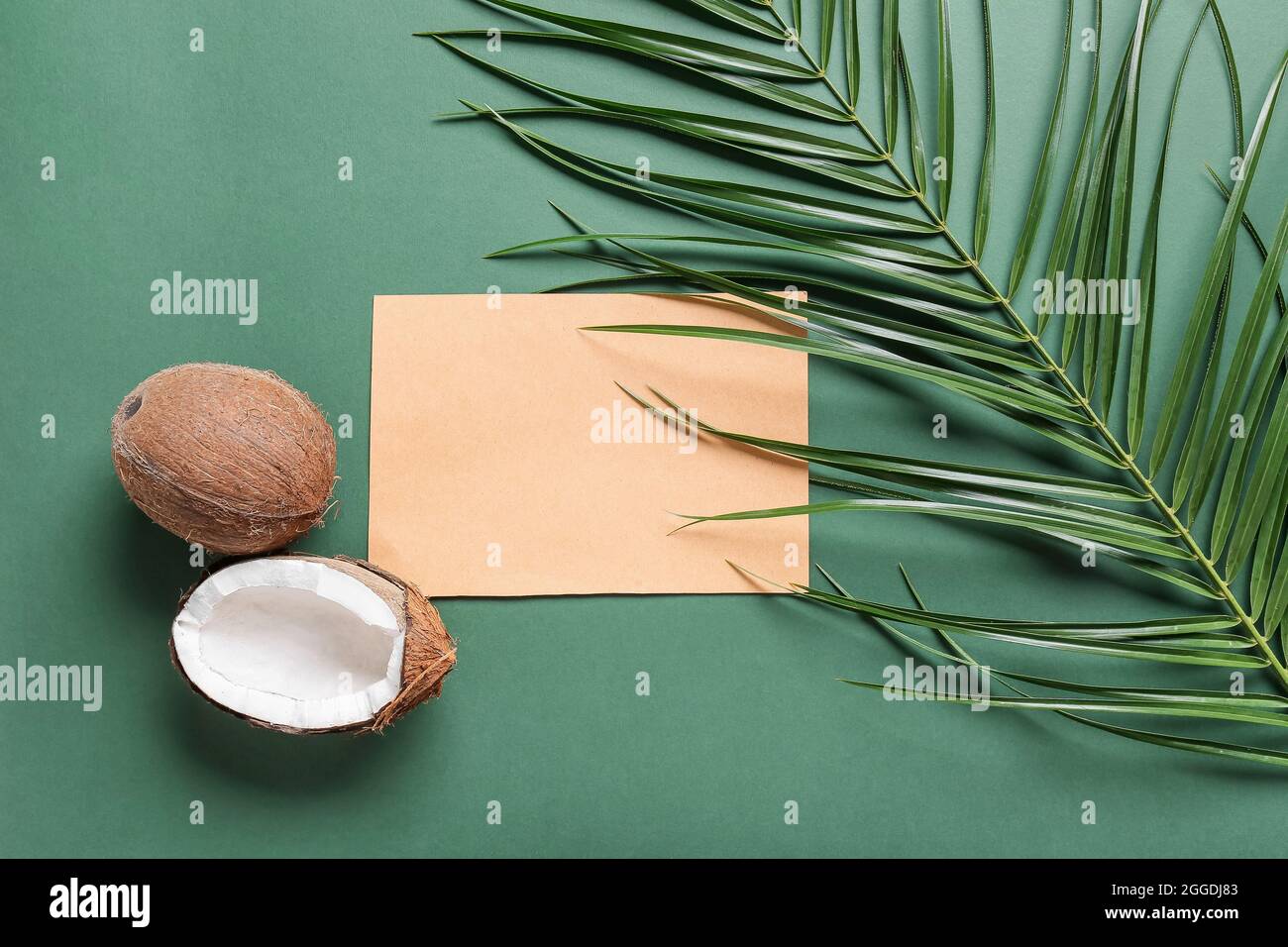 Komposition mit leerer Karte, Kokosnüssen und Palmblatt auf farbigem Hintergrund Stockfoto