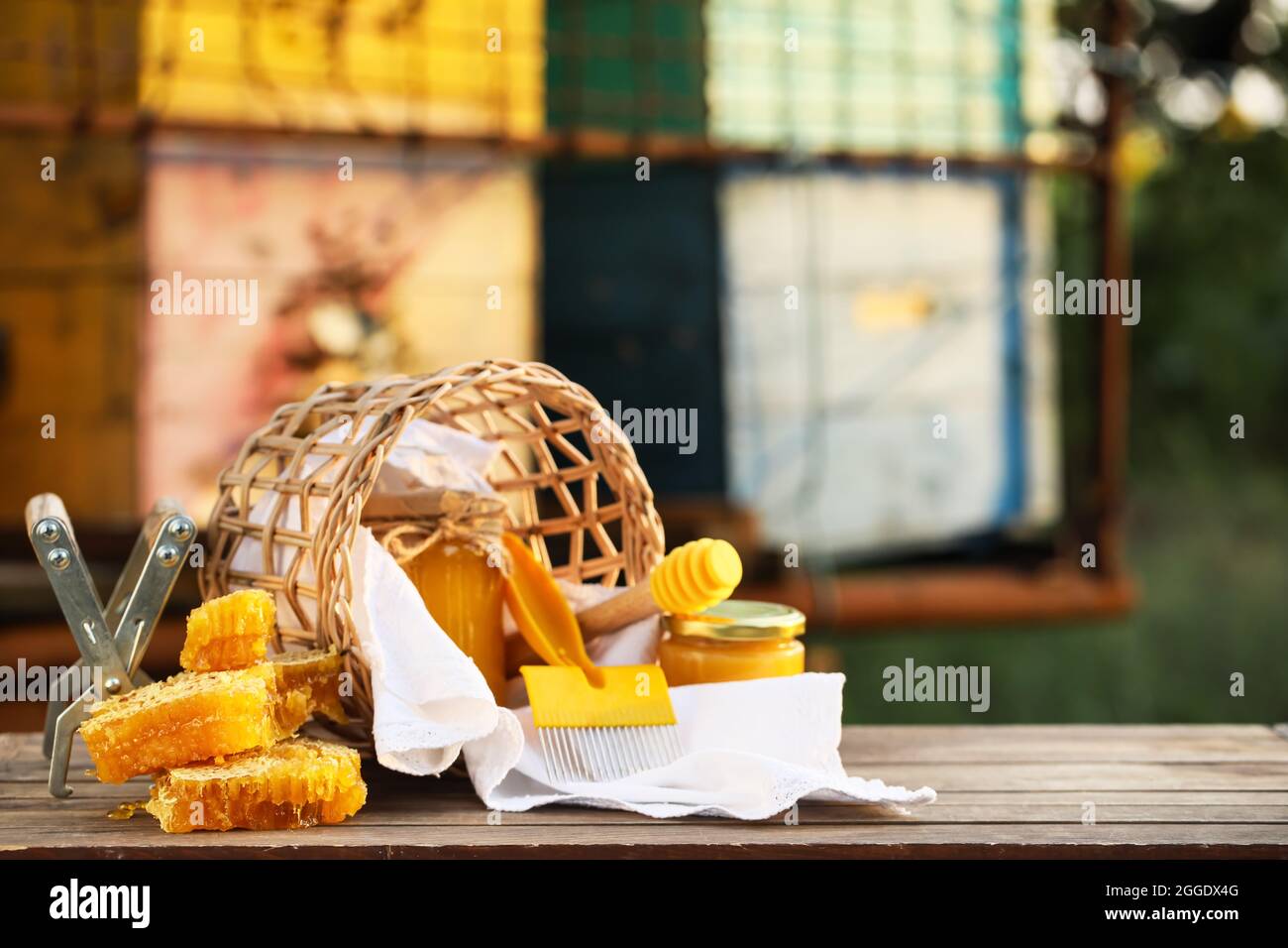 Imkereibedarf und Honig auf der Imkerei Stockfoto