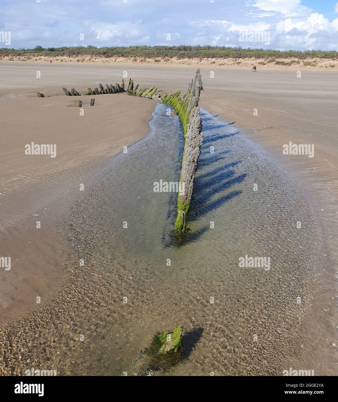 Schiffswrack am Strand von Cefn Sands im Pembrey Country Park in Carmarthenshire South Wales UK, einem beliebten walisischen Touristenreiseort und einer beliebten Küste Stockfoto