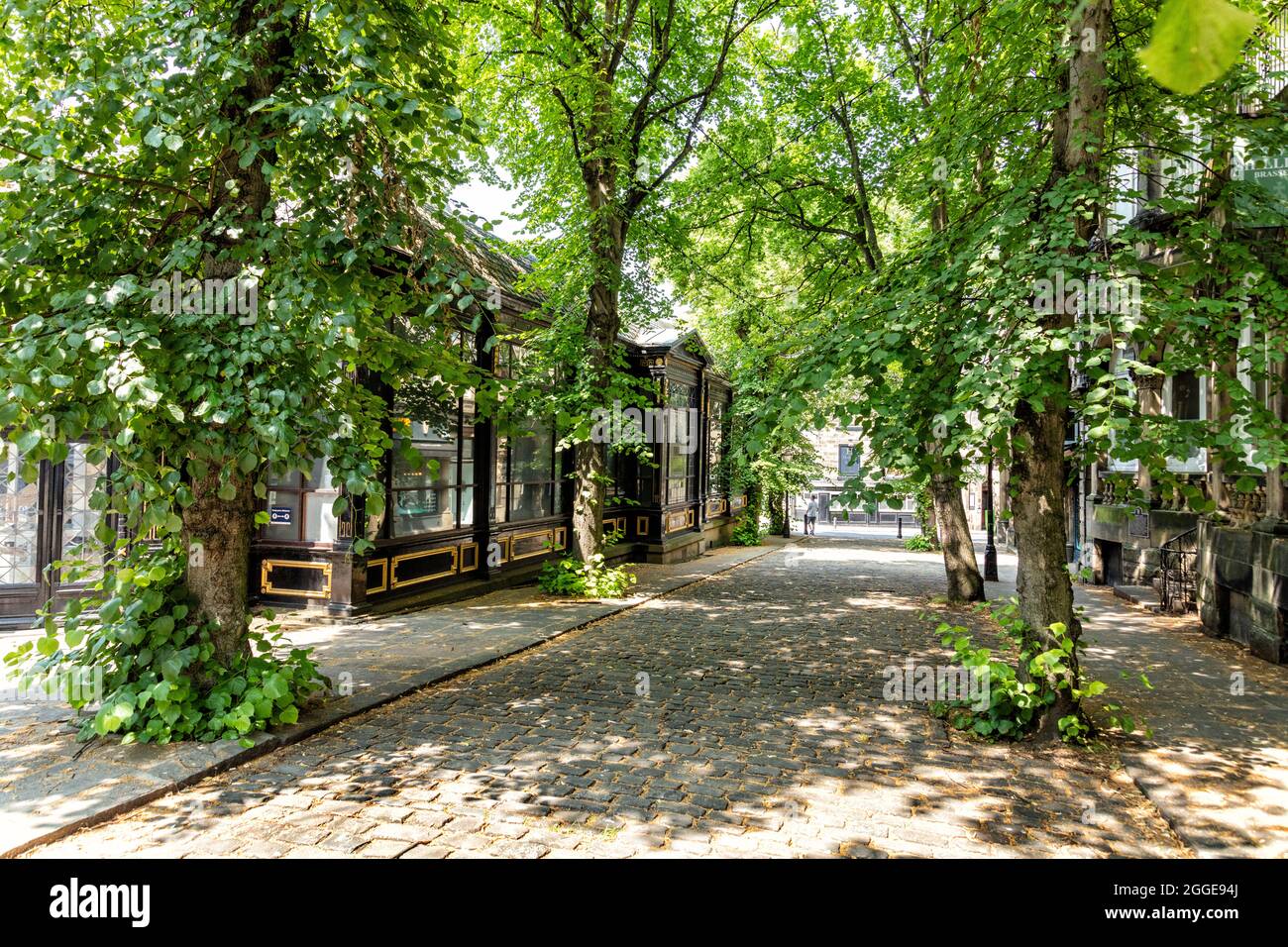 Gepflasterte Straße neben dem Royal Pump Room in Harrogate, einem Kurort in North Yorkshire, England, Großbritannien. Stockfoto
