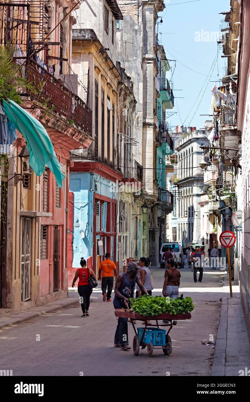 Straßenszene mit Passanten, Kubanern, Altstadt, Hauptstadt Havanna, Provinz Havanna, Großantillen, Karibik, Kuba Stockfoto