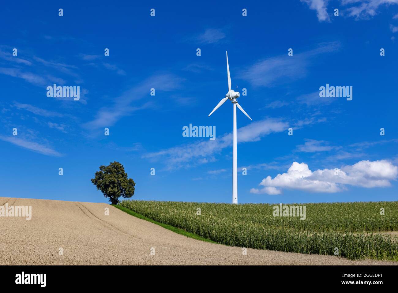 Windenergie, Windturbine, Agrarlandschaft mit Windturbine bei Pramet im Innviertel, wolkig, Oberösterreich, Österreich Stockfoto