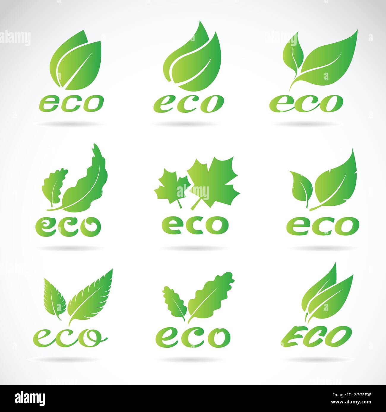 Grünes Blattdesign. Symbolsatz „Ökologie“. „Green Eco“-Symbole. Stock Vektor