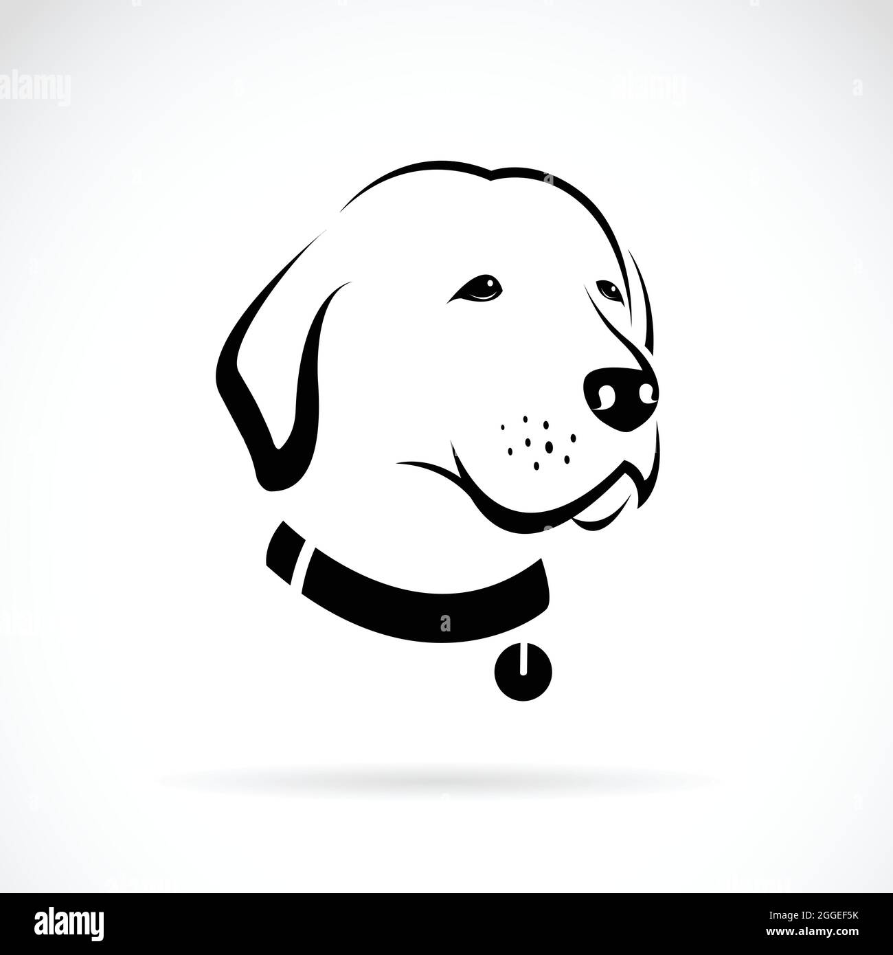 Vektorbild des Kopfes eines Labradors auf weißem Hintergrund. Leicht editierbare Vektorgrafik mit Ebenen. Tiere. Stock Vektor