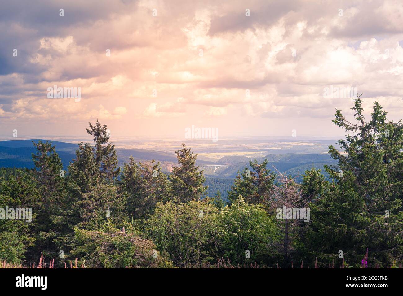 Blick über Baumkronen ins Thüringer Land mit bewölktem Himmel Stockfoto