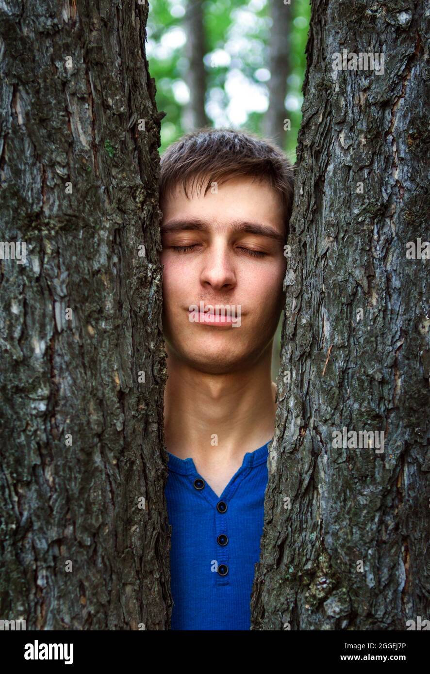 Junger Mann zwischen zwei Pines im Wald Stockfoto