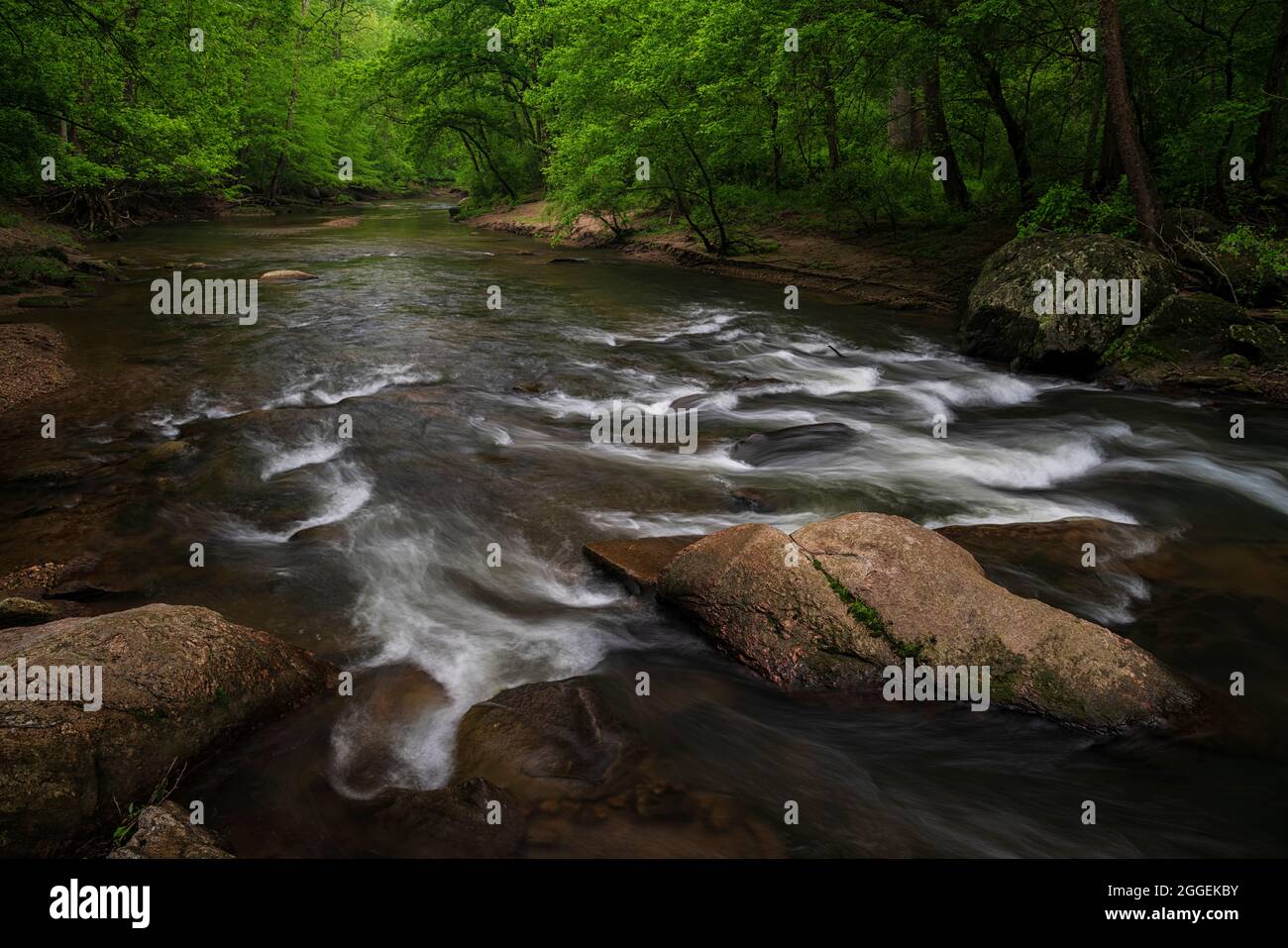 Frühling auf dem Nahen Patuxent River in Howard County, Maryland Stockfoto