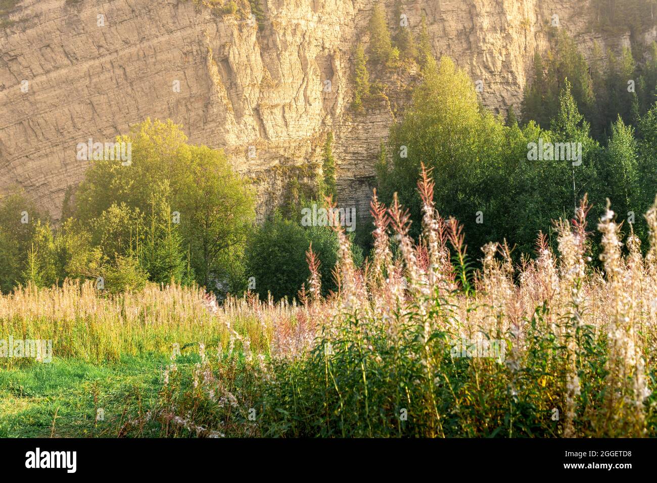 Landschaft mit sonnenbeschienenen Felswänden im Hintergrund und verschwommenem Gras im Vordergrund Stockfoto