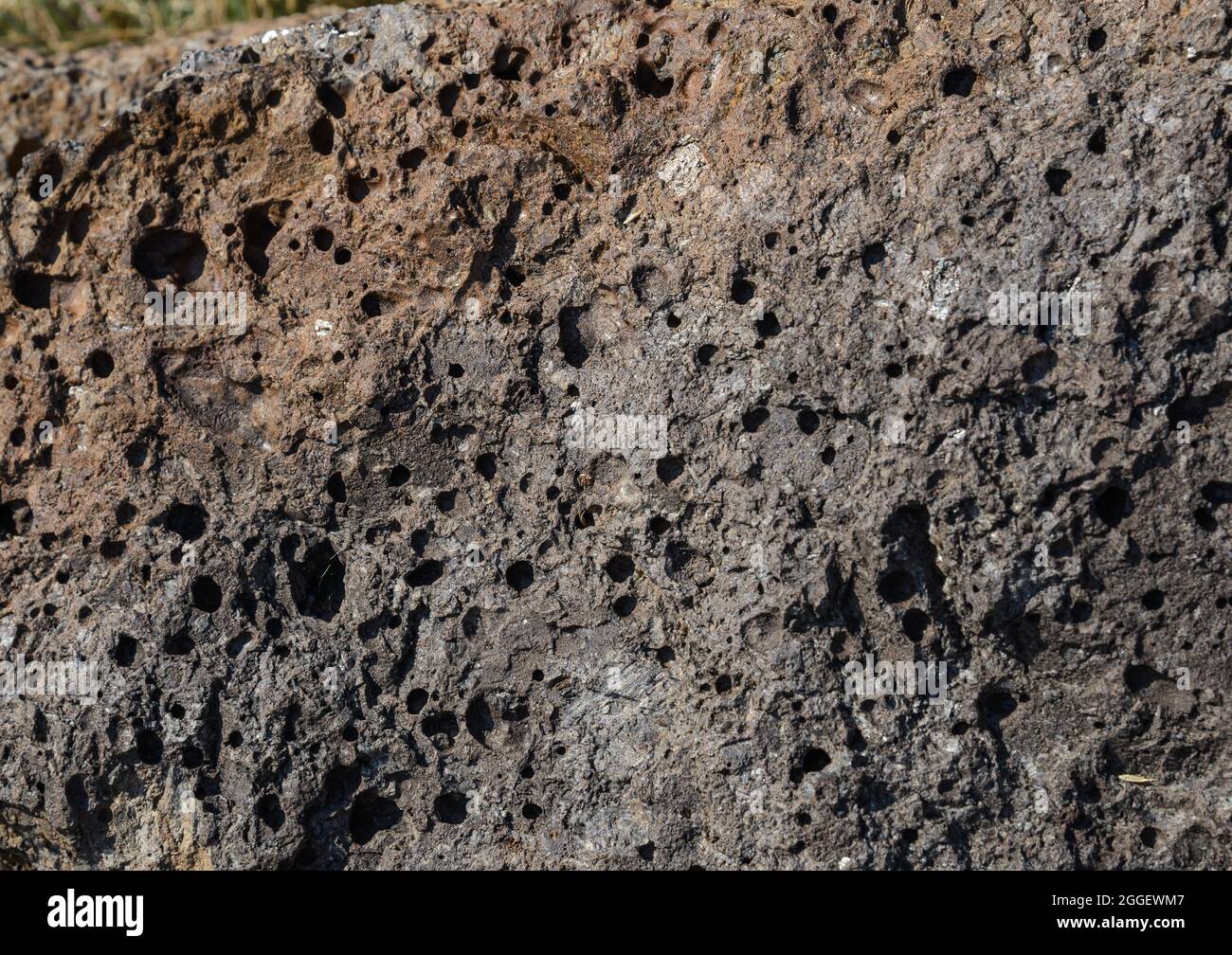 Porphyrisches Vulkangestein mit Feldspatkristallen und vielen Vesikeln. Burns, Oregon, USA. Stockfoto
