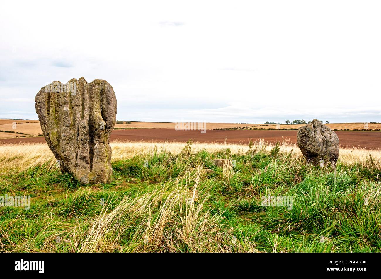 Zwei prähistorische stehende Steine von fünf auf einem grasbewachsenen Hügel, Teil des Duddo-Steinkreis-Denkmals, die durch Verwitterung tiefe Rillen zeigen Stockfoto