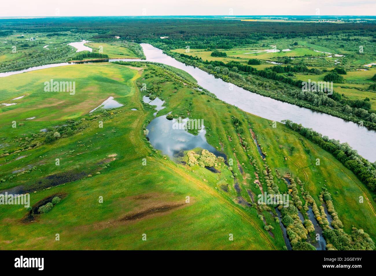 Luftaufnahme. Grüne Wald-, Wiesen- Und Flusslandschaft Im Sommer. Top Blick Auf Die Europäische Natur Von High Attitude Im Frühling. Vogelperspektive auf Stockfoto