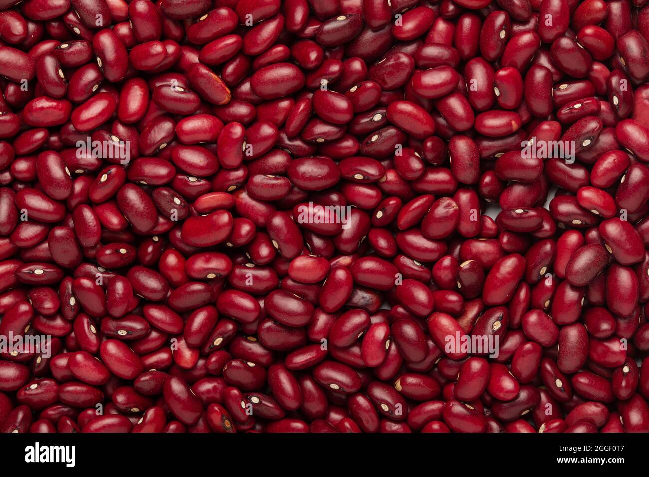 Nahaufnahme von organischem Rajma, (Laal Lobia ) oder roten Kidney-Bohnen im Vollbildhintergrund. Draufsicht Stockfoto